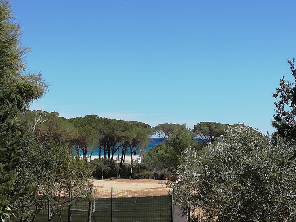 Sea view