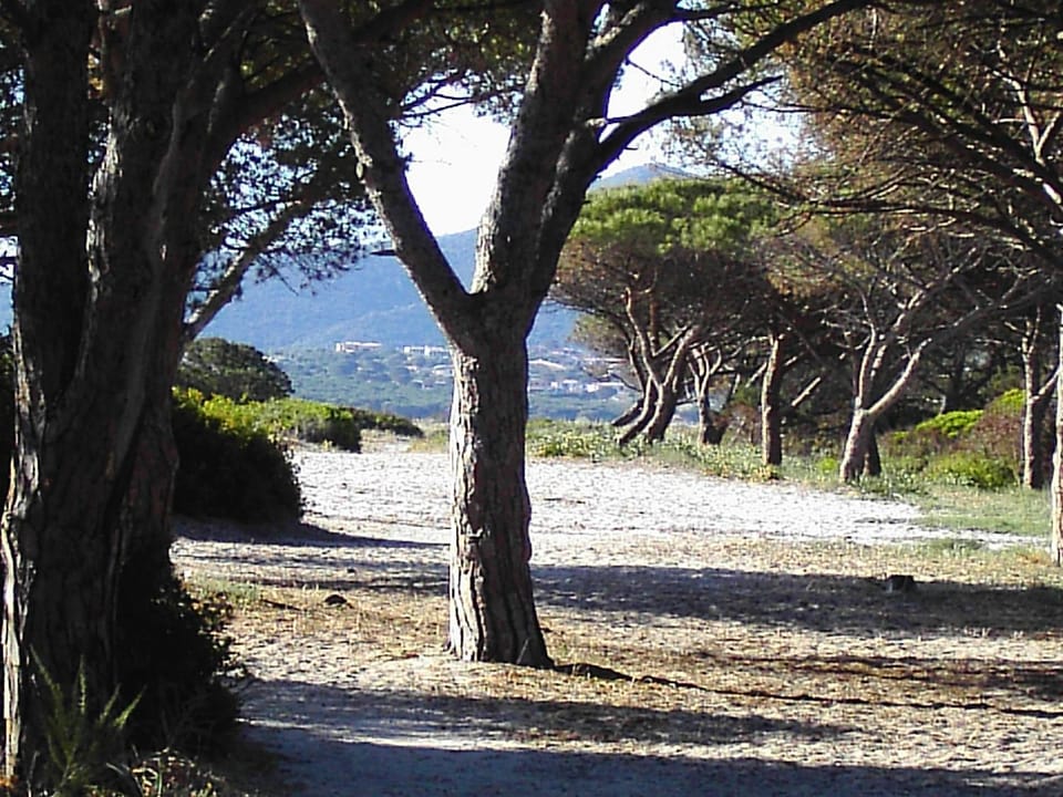 Natural landscape, Beach