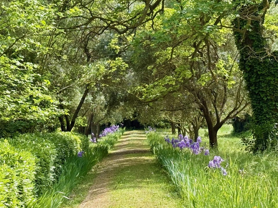 Garden, Garden view