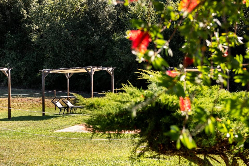 Spring, Day, Natural landscape, Garden, Garden view