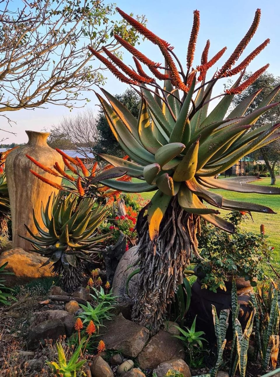 Forest Hill Country Lodge Bed and Breakfast in KwaZulu-Natal