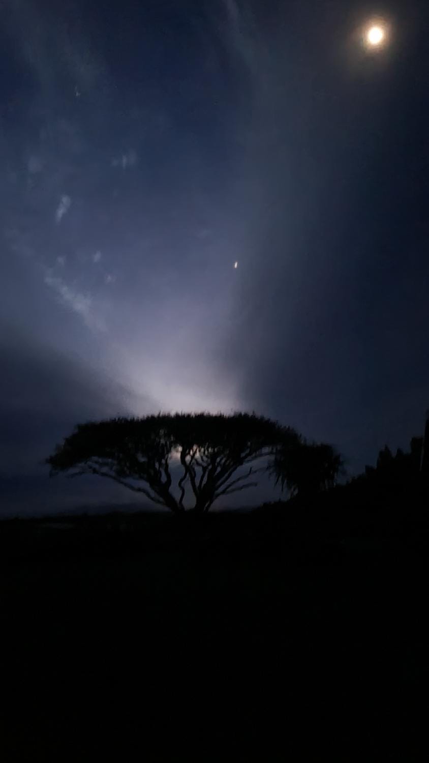 Forest Hill Country Lodge Bed and Breakfast in KwaZulu-Natal