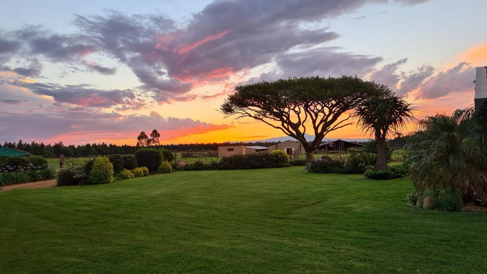 Forest Hill Country Lodge Bed and Breakfast in KwaZulu-Natal