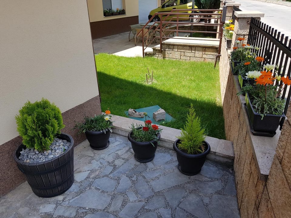 Garden view
