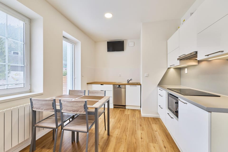 Kitchen or kitchenette, Dining area, oven, stove