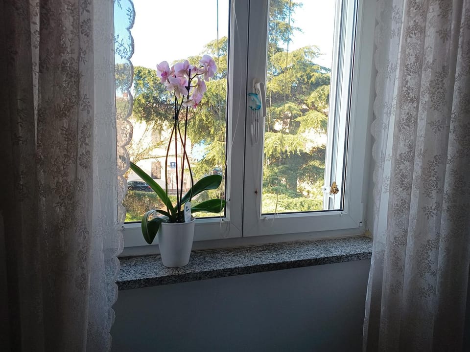 View (from property/room), City view, Garden view, Sea view