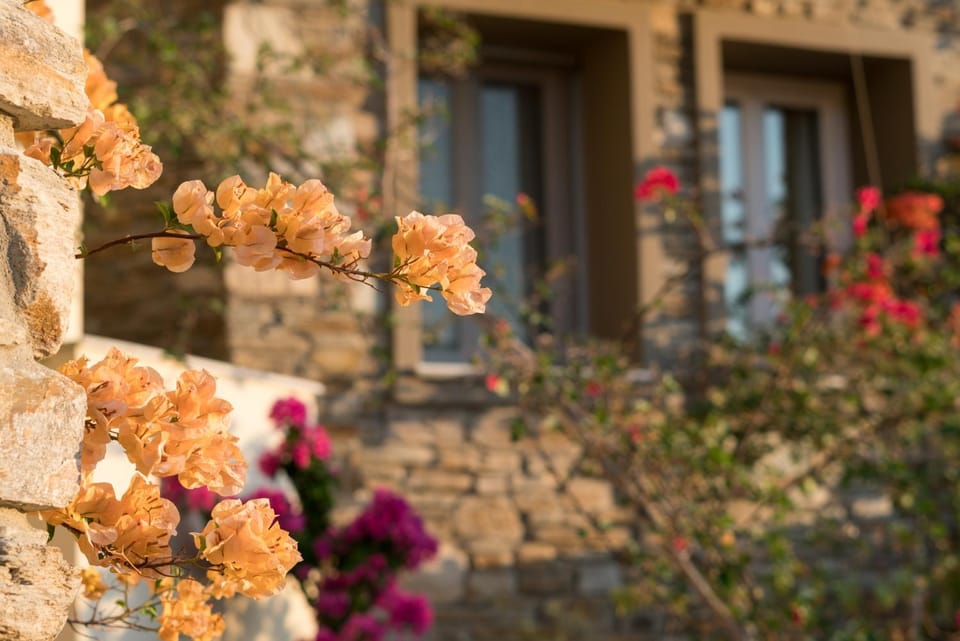 Patio, Garden
