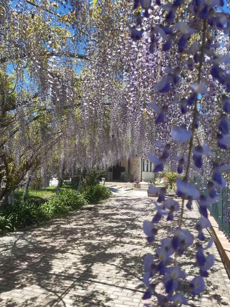 Spring, Garden view