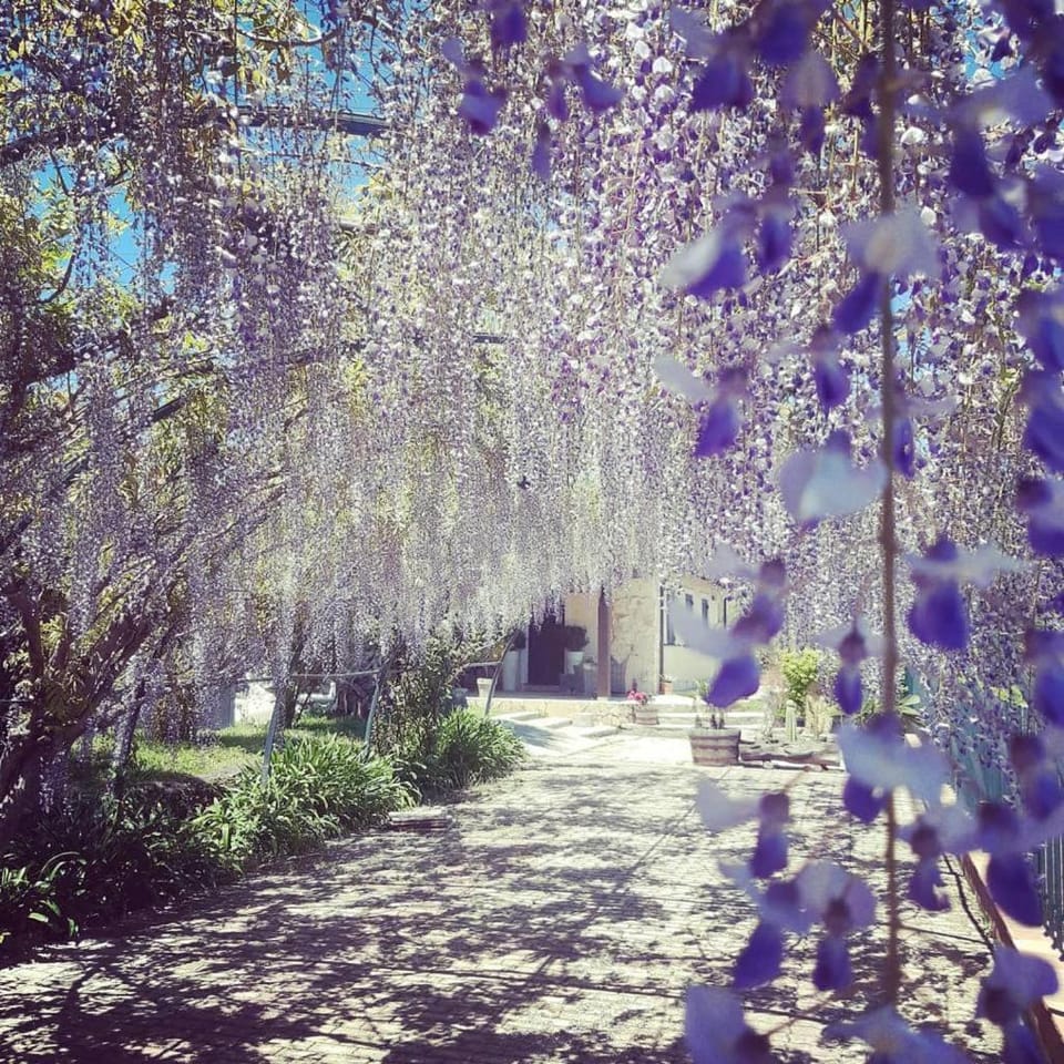 Spring, Garden view