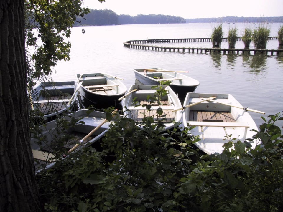 Lake view