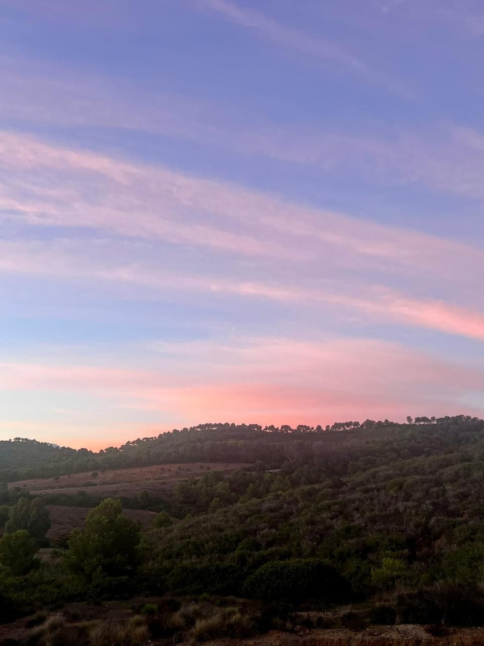 View (from property/room), Sunset