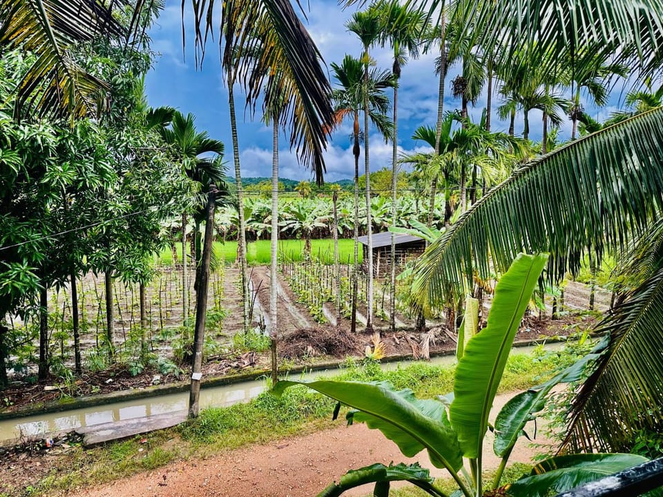 Blue Mountains View Vacation rental in Dambulla