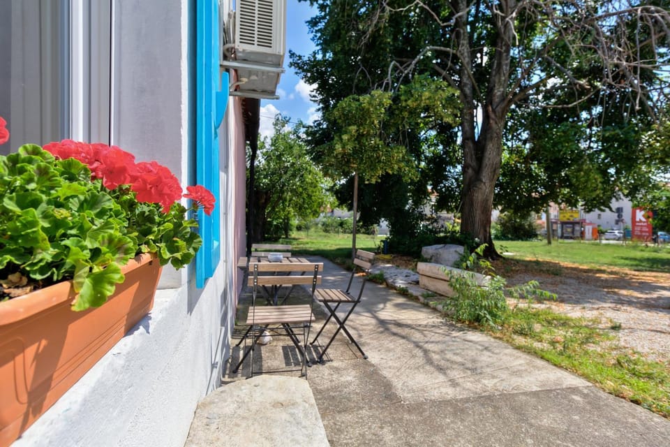 Patio, BBQ facilities, Garden, Balcony/Terrace, Seating area, Evening entertainment, Animals, City view, Garden view, Street view