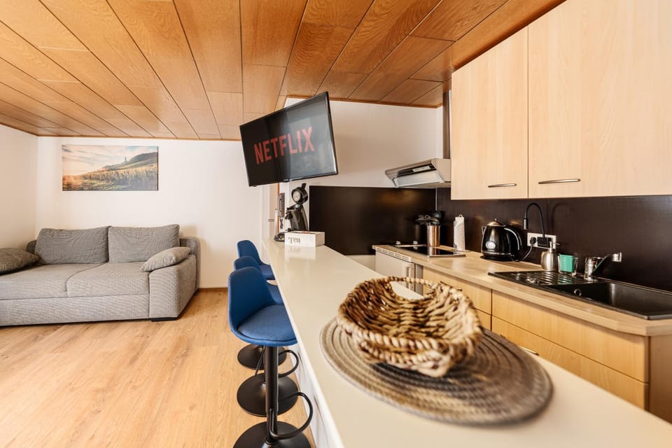 TV and multimedia, Kitchen or kitchenette, Living room, Seating area, Dining area, minibar, stove