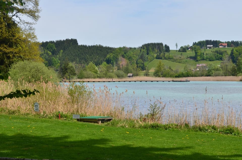 Natural landscape