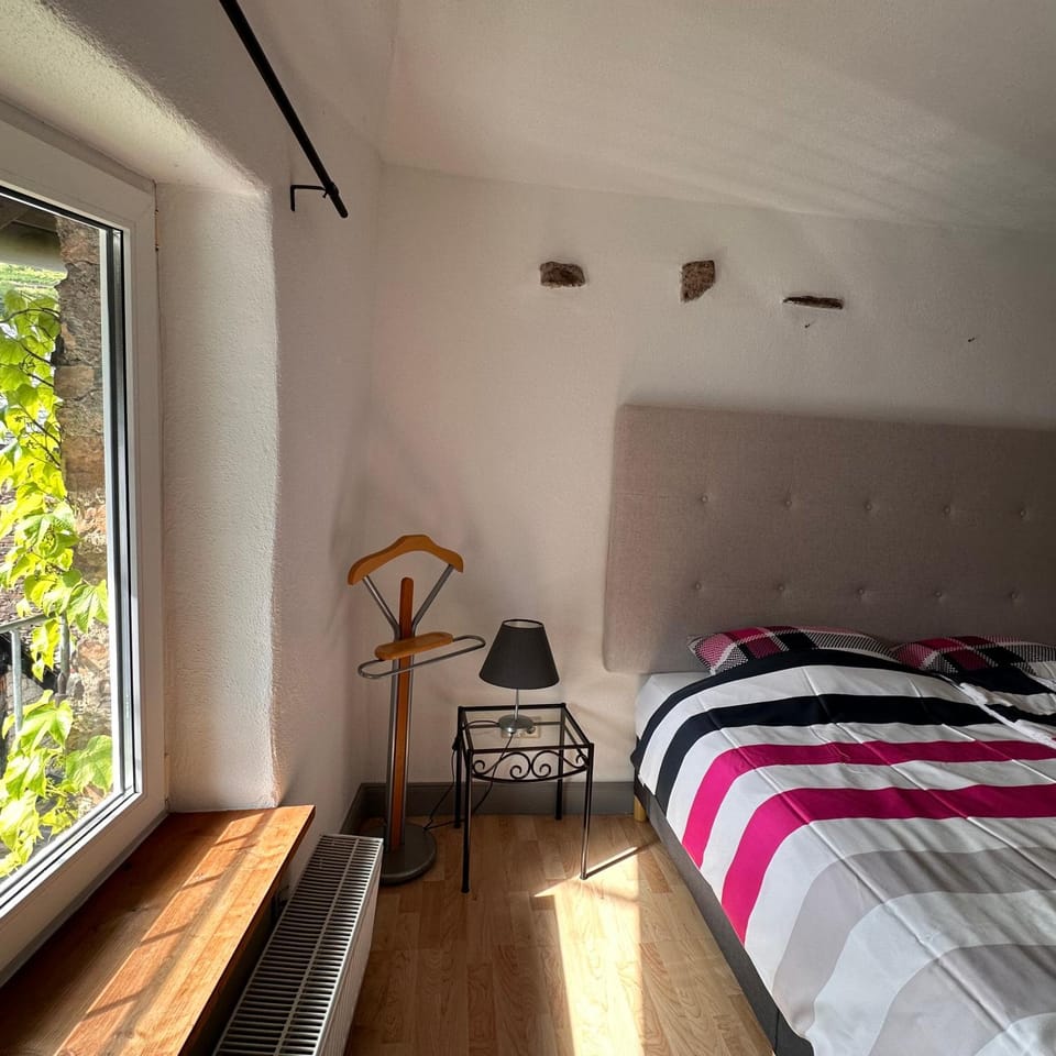 Springiersbacher Hof Apartment in Ediger-Eller