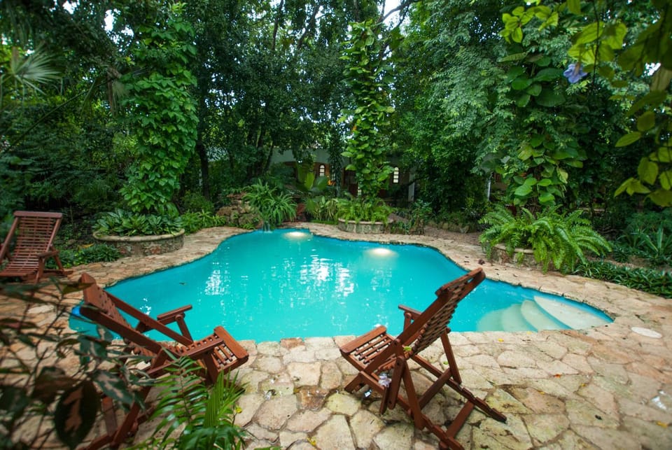Swimming pool, Swimming pool