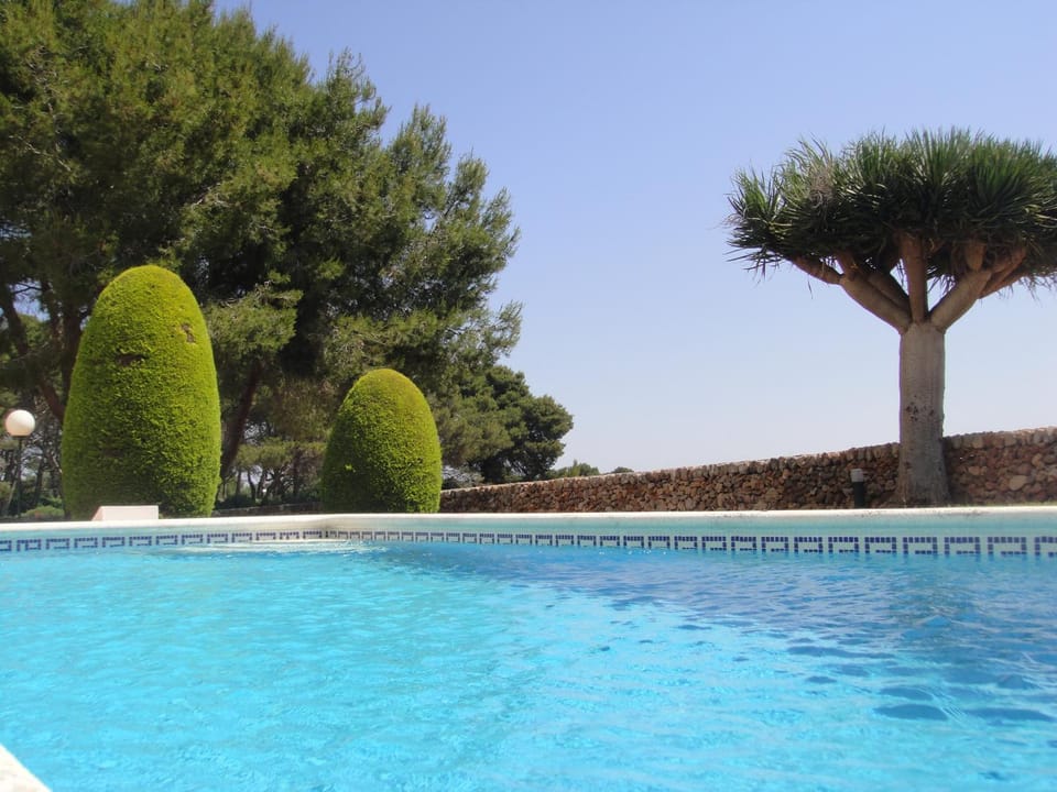 Garden, Swimming pool
