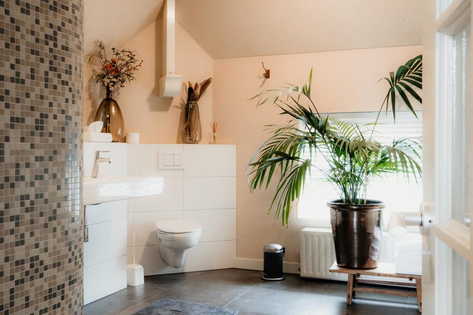 Toilet, Bathroom