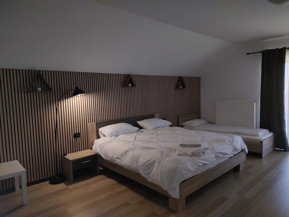 Vila Puiu Borsa MM Villa in Romania