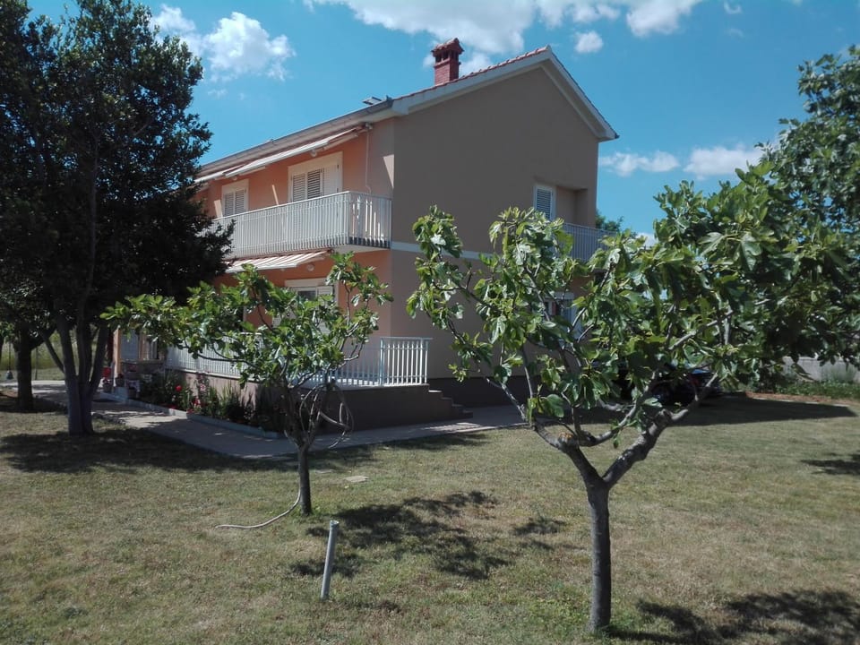 Patio, BBQ facilities, Garden, Area and facilities