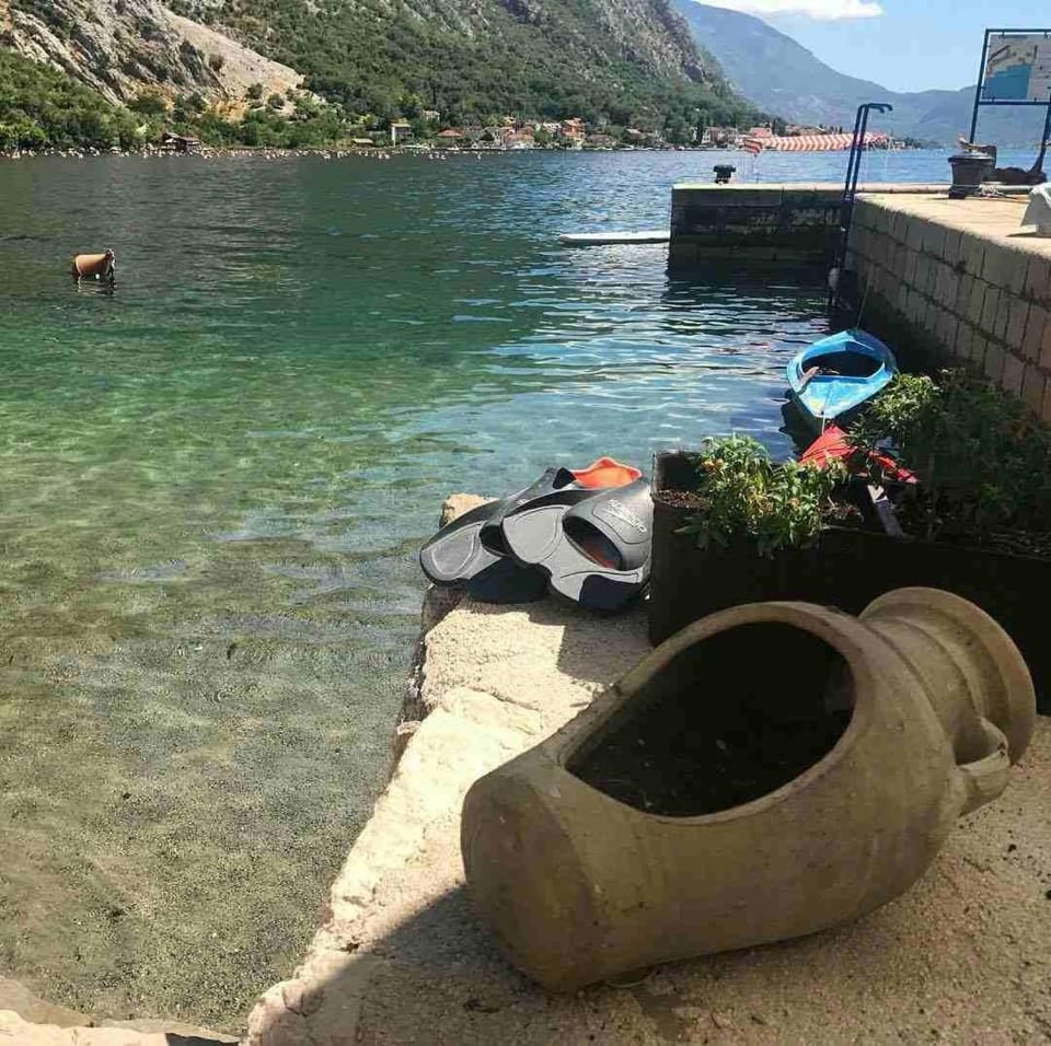 Fishing, Garden, Snorkeling, Beach, Diving