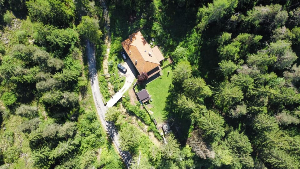 Neighbourhood, Natural landscape, Bird's eye view