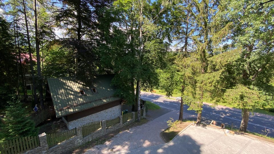 Spring, Day, Neighbourhood, Natural landscape