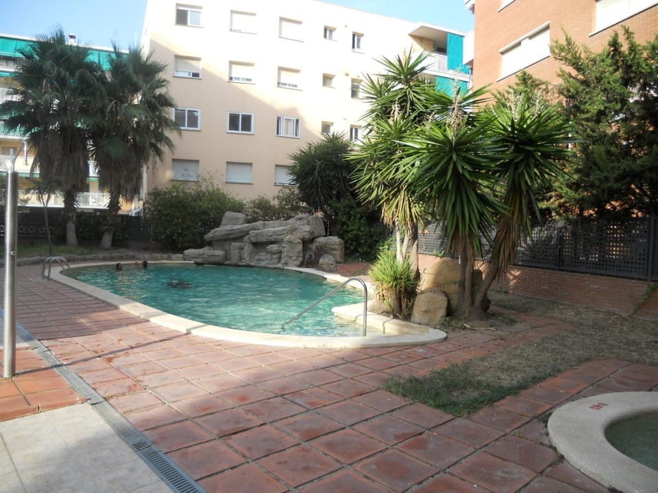 Swimming pool, Swimming pool