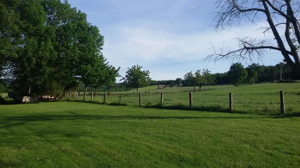 View (from property/room)