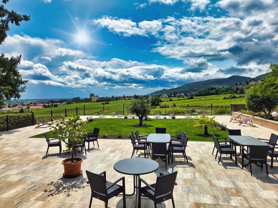 Garden, Balcony/Terrace