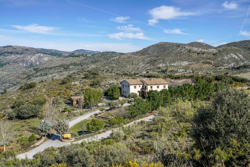 Property building, Natural landscape, Bird's eye view