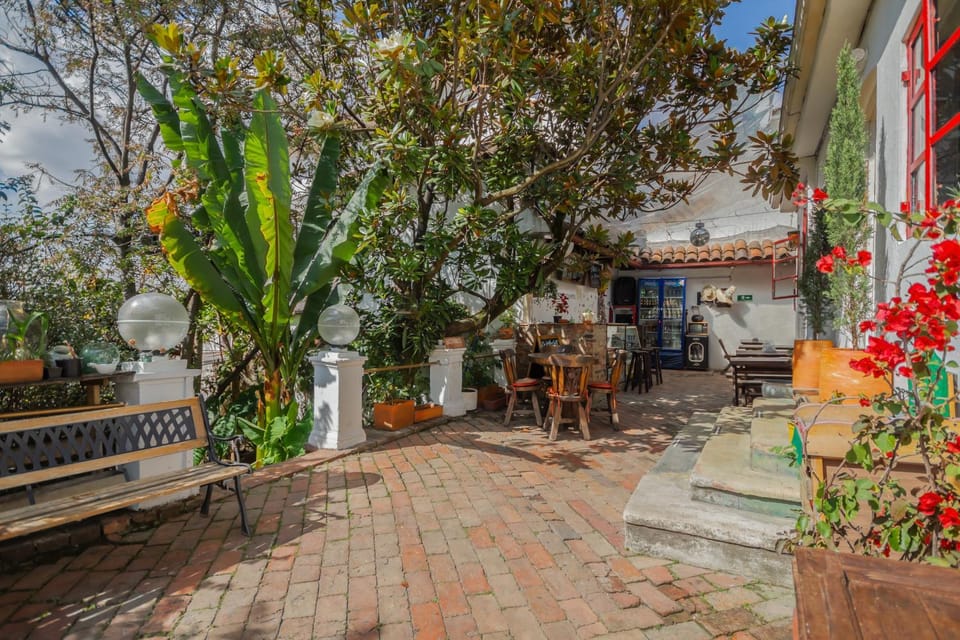 Patio, Spring, Day, Garden, Garden view