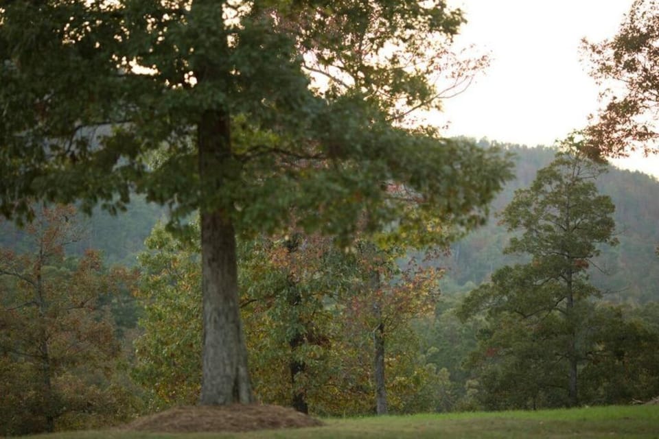 Stonehill Cottages Country House in Arkansas