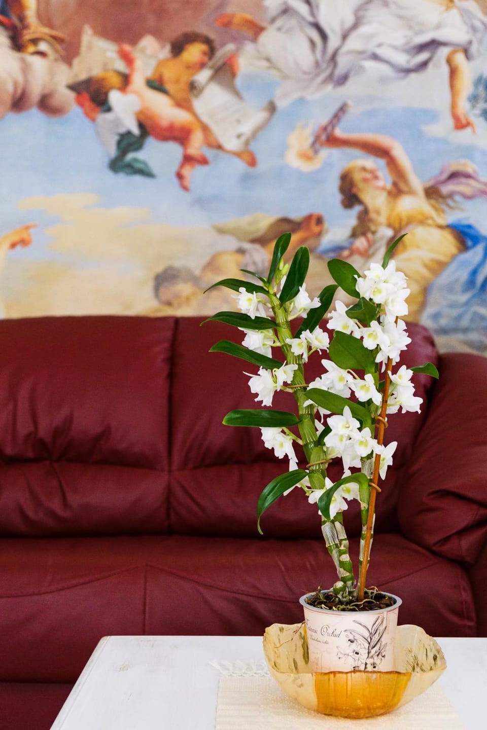 Lobby or reception, Drinks