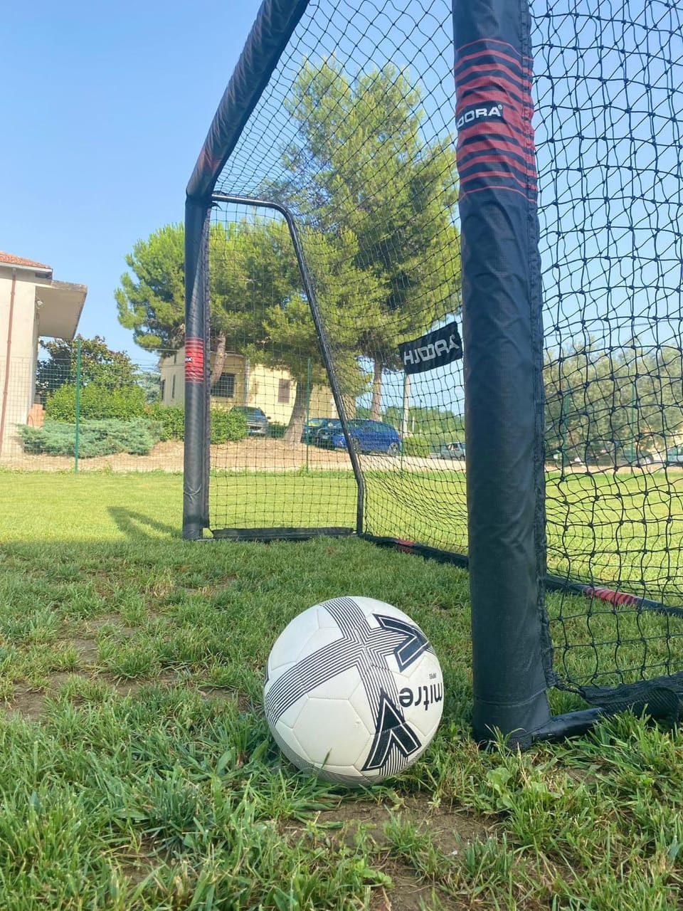 Sports