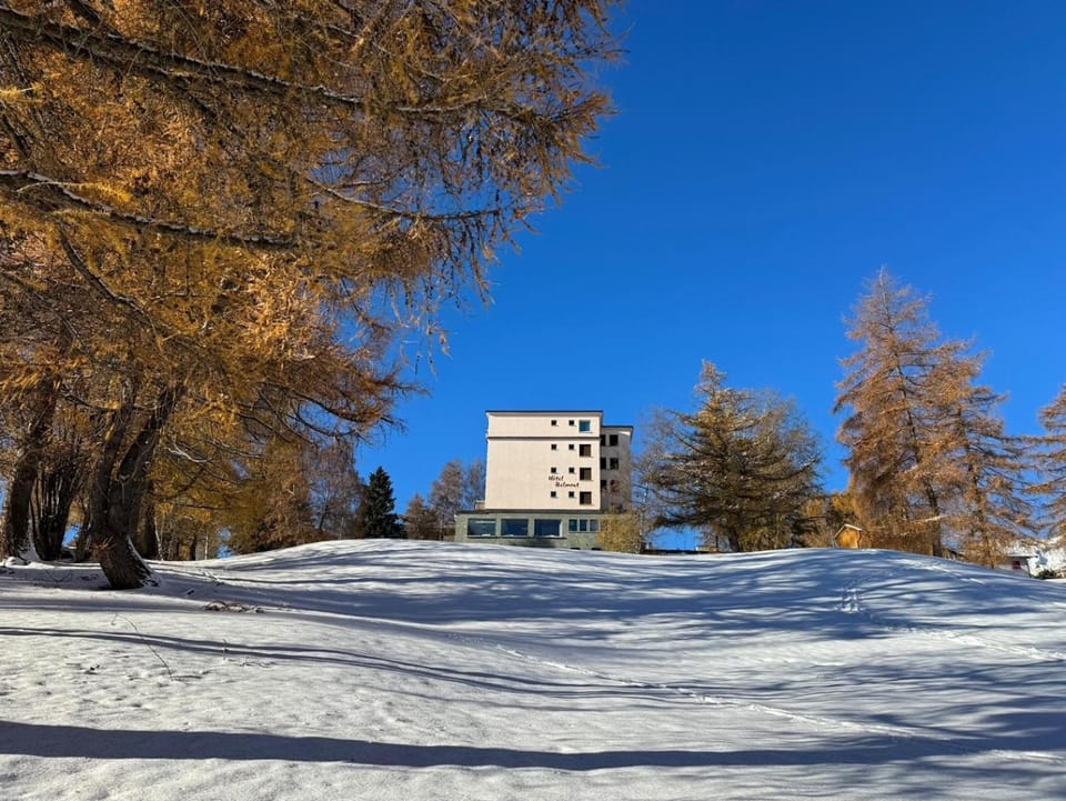 Property building, Winter, Garden, Skiing, Skiing, Garden view, Garden view