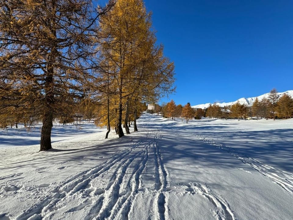 Property building, Winter, Skiing, Landmark view, Landmark view