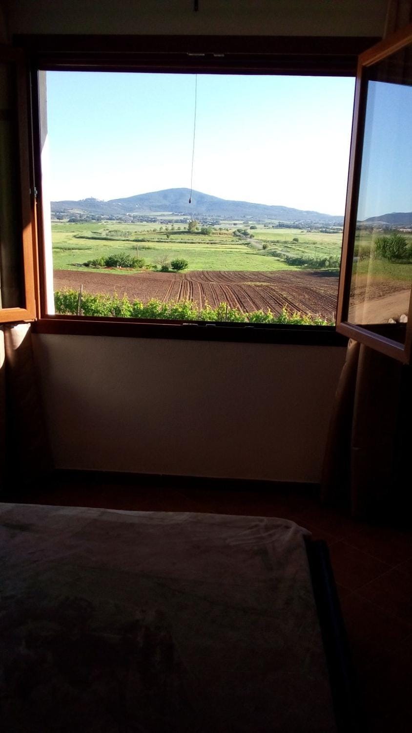 Mountain view