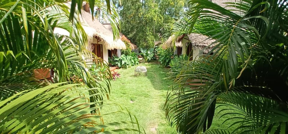 Garden, Garden, Garden view, Garden view