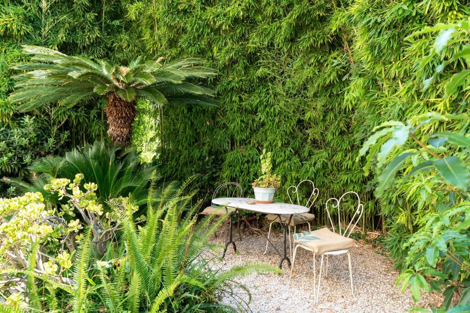 Garden view