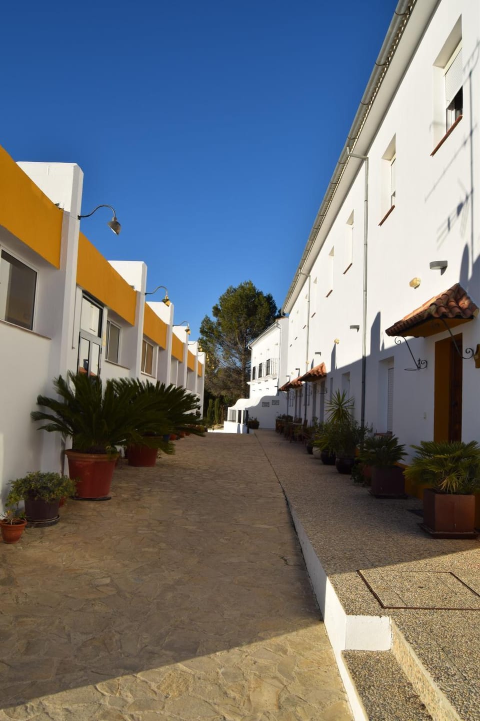 Patio, Balcony/Terrace