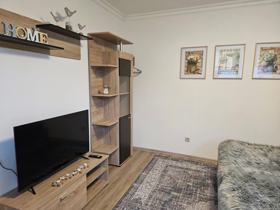 TV and multimedia