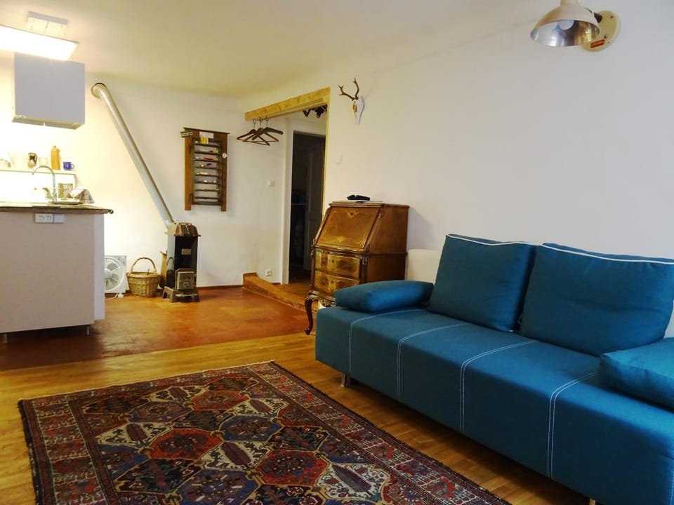Apartment Center Apartment in Salzburgerland