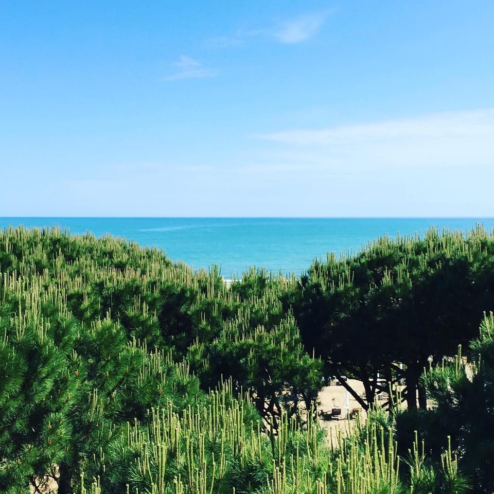 Day, Natural landscape, Summer, Photo of the whole room
