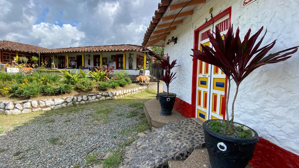 Garden, Garden view