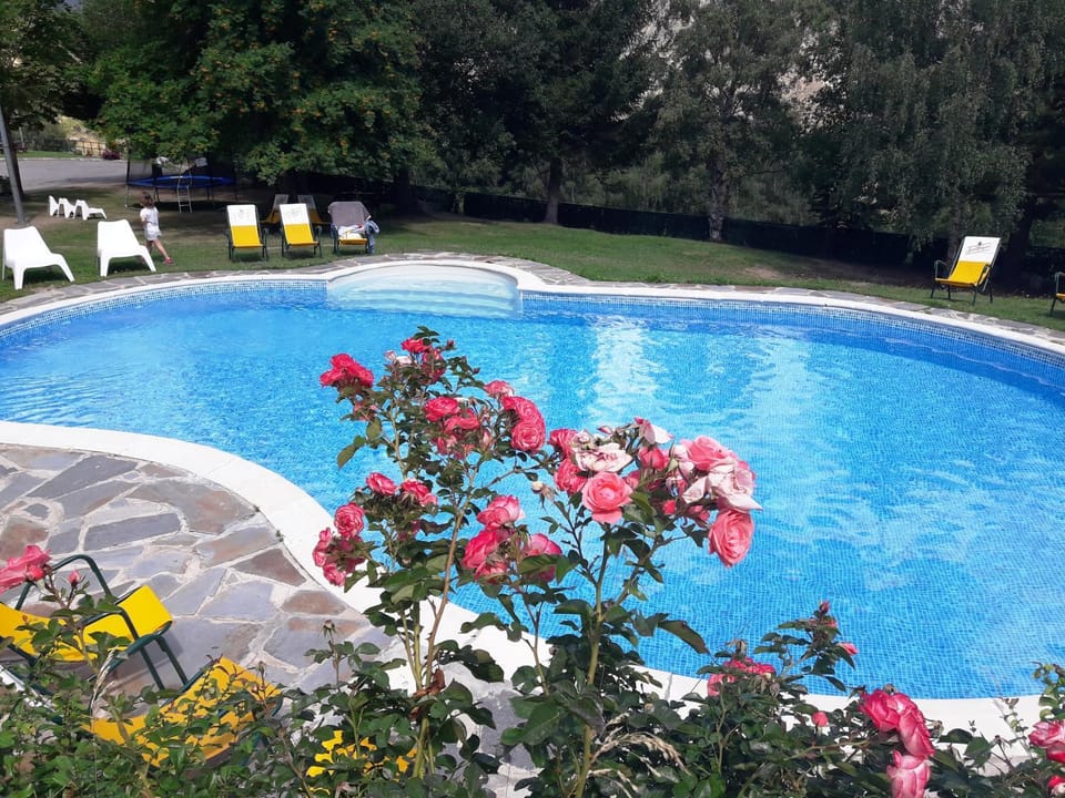 Pool view, Swimming pool
