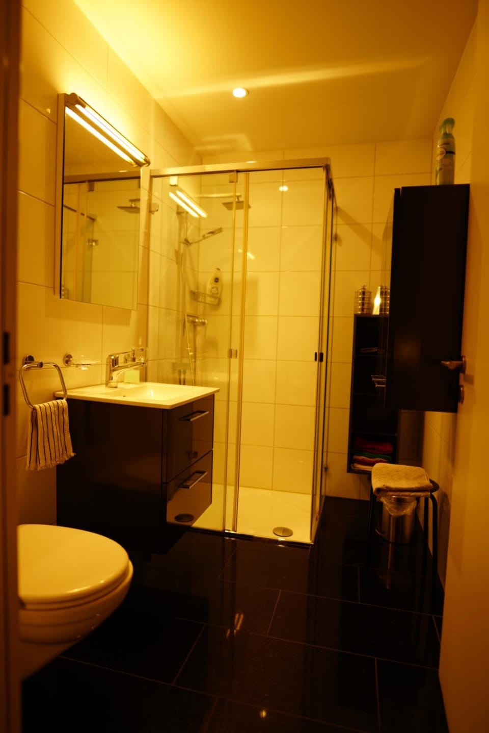 Esther's Homestay - Big Room 26m2 chez l'habitant Vacation rental in Canton of Zurich