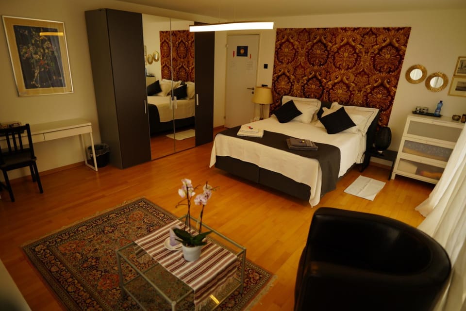 Esther's Homestay - Big Room 26m2 chez l'habitant Vacation rental in Canton of Zurich