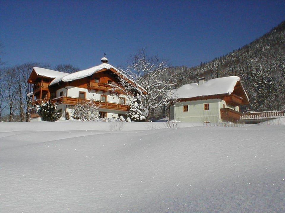 Property building, Winter